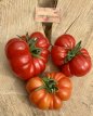 Tomate Corleonese 10 graines