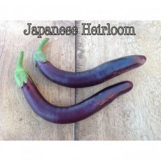 ZVRTDAJHZ15 Eggplant Japanese Heirloom 10 seeds TessGruun