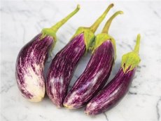 Eggplant Tsakoniki 10 seeds ORGANIC TessGruun