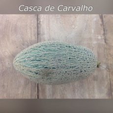 Melón Casca de Carvalho 10 semillas TessGruun
