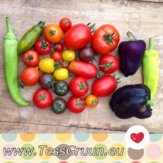 ZVRTGFIFRWH Eggplant / Aubergine Finger Fruit Mix – 10 seeds TessGruun