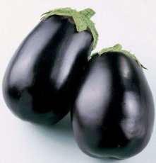 Eggplant Black Beauty 25 seeds TessGruun