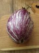 Eggplant Listada De Gandia 10 seeds TessGruun