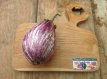 ZVRTPLDGZ Eggplant Listada De Gandia 10 seeds TessGruun