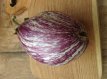 Eggplant Listada De Gandia 10 Organic 10 seeds TessGruun