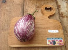 Eggplant Listada De Gandia 10 Organic 10 seeds TessGruun