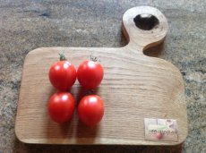 ZTOTGNIHI Tomato Nipple High 10 seeds TessGruun