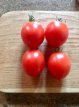 ZTOTGNIHI Tomato Nipple High 10 seeds TessGruun