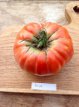ZTOTGMOY Tomate Moya 10 semillas TessGruun