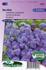 ZBESG5015 Ageratum houstonianum Blue Mink Sluis Garden