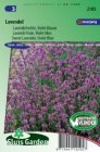 ZKRSG2105 Lavendel Echte Lavandula angustifolia vera Sluis Garden