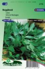 ZKRSG2115 Maggikruid Levisticum officinalis Sluis Garden