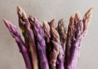 Asperge Sweet Purple 25 graines TessGruun