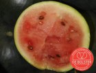 ZVRDB2027 Wassermelone 'Sugar baby' BIO De Bolster (2027)