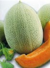 ZVRTEMHBZ10 Meloen Hales Best Jumbo 10 seeds TessGruun
