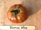 ZTOTGVIWI Tomato Vintage Wine 10 seeds TessGruun