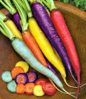 Zanahoria Harlekin / Colormix (0,6g = +/- 400 semillas) TessGruun