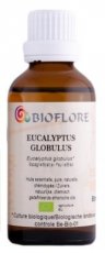 Eucalyptus Globulus, bio - Contenance: 50 ml