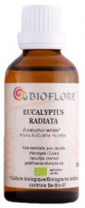 Eucalyptus Radié, bio - Contenance: 50ml