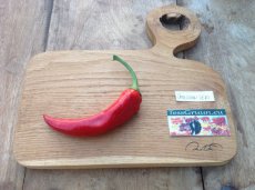 Peper Çarliston Seki F1 1 plant in pot P9