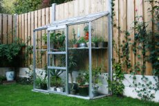 Royal Well Wall Garden 62 Lean-To - 194cm x 69cm (verre horticulture 3mm)
