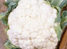 ZKOBUBLALP Cauliflower Alpha 7 TessGruun