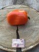 Paprika Bychock Bell Orange 10 zaden