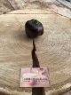 Paprika Mini Belle Chocolate 10 zaden TessGruun