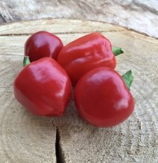 Paprika Mini Belle Red 10 zaden
