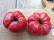 Tomatenzaden pakket: 10 soorten unieke heirloom tomaten (10 zaden per soort)