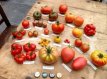 Tomatenzaden pakket: 20 soorten unieke heirloom tomaten (10 zaden per soort)