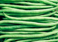 HARICOT Nain a Filet Fin de Bagnols 25 graines