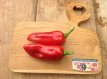 Paprika Barancio 10 zaden TessGruun