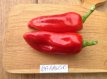 Paprika Barancio 10 zaden TessGruun