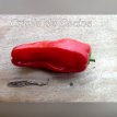 ZPATGCRDCO Paprika Criolla de Cocina 10 zaden TessGruun