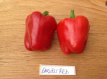 Poivron Earliest Red 10 graines TessGruun