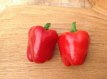 Poivron Earliest Red 10 graines TessGruun