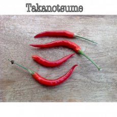 ZPETGTA Hot Pepper Takanostsume 10 seeds TessGruun