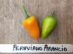 ZPETGPEAR Hot Pepper Peruviano Arancio 10 seeds TessGruun