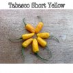 ZPPTGTASHYE Pepper Tabasco Short Yellow 10 seeds TessGruun