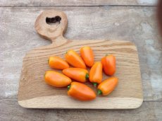ZPPTWORA Paprika Oranje Snackpaprika Orangina 10 zaden TessGruun