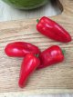 ZPPTWROS Sweet Red Pepper Snack Rosso 10 seeds TessGruun