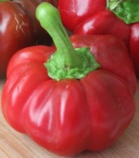 Paprika Pimento Sweet BIO 7 zaden TessGruun