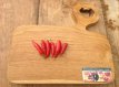 Hot Pepper Aji Omnicolour 5 seeds TessGruun