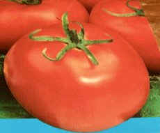 ZTOETTRCA Tomate Tres Cantos 10 semillas