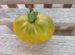 ZTOTGANVE Tomate Ananas Verte 5 semillas TessGruun