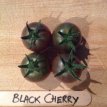 ZTOTGBLCH Tomate Black Cherry 10 graines TessGruun