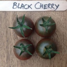 ZTOTGBLCH Tomato Black Cherry 10 seeds TessGruun
