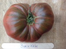 Tomaat Black Krim 10 zaden PURE TessGruun