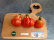 Tomate Canestrino Di Lucca 10 semillas TessGruun